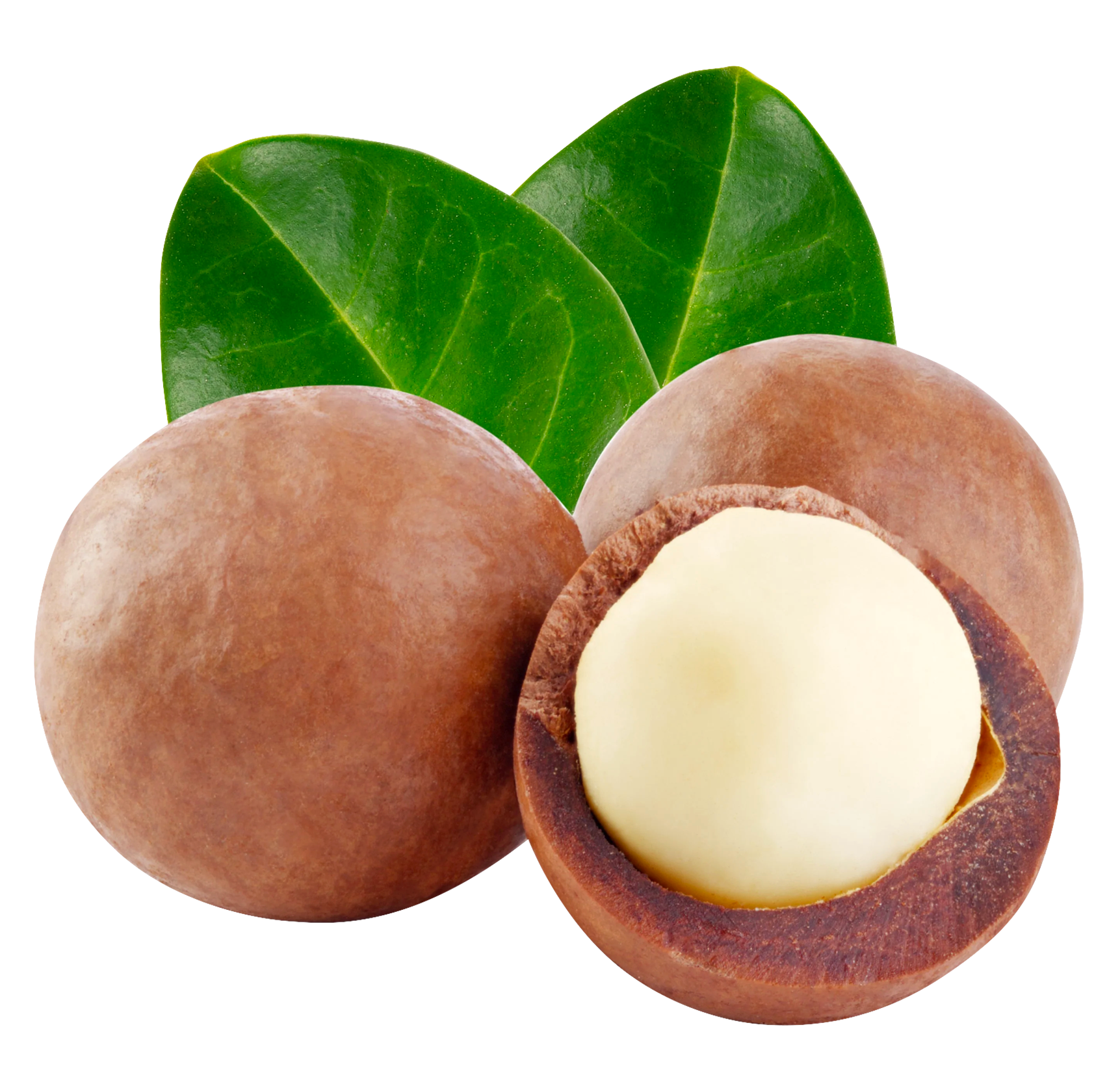 Cereza de café orgánico